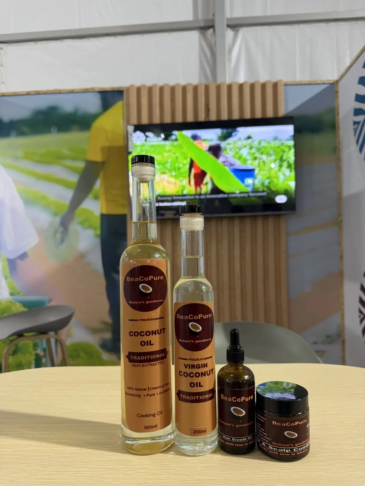 The BeaCoPure range on a table: traditional coconut oil, coconut oil, Hair Growth Oil, and Hair and Scalp Conditioner.